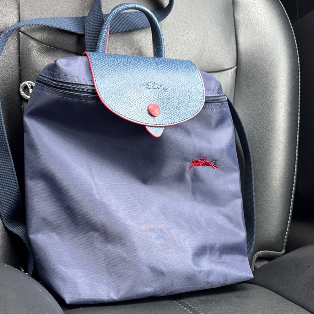 Longchamp Blue and Red Backpack
